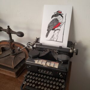 Pamphastos dicolorus