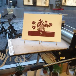 Les Oxalys (Format A3)